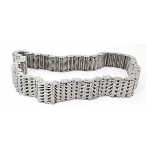 BorgWarner Chain HV-074
