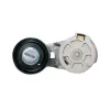 Litens Accessory Drive Belt Tensioner Assembly LTN-910015A