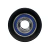 Litens Alternator Decoupler Pulley LTN-920091A