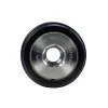 Litens Alternator Decoupler Pulley LTN-920098A