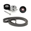 Litens Serpentine Belt Drive Component Kit LTN-LV999010A