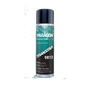 Paragon All Purpose Cleaner M470-9813