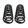 MOOG Chassis Products Coil Spring Set MOO-81071