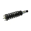 Moog Suspension Strut and Coil Spring Assembly MOO-ST8609R