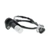 Motorad Engine Crankshaft Position Sensor MOT-1KR307