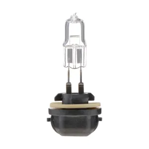 Philips Fog Light Bulb PHI-886C1