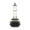 Philips Fog Light Bulb PHI-896B1