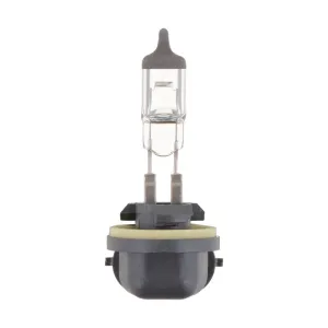 Philips Fog Light Bulb PHI-896C1