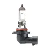 Philips Fog Light Bulb PHI-9040B1