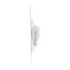 Philips Back Up Light Bulb PHI-921LLB2