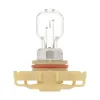 Philips Fog Light Bulb PHI-PS24WFFB1