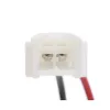 Delphi Fuel Pump and Strainer Set PN2008