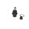 Promax Suspension Ball Joint PRC-B12-K500397
