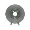Promax Disc Brake Rotor PRO-20-620018