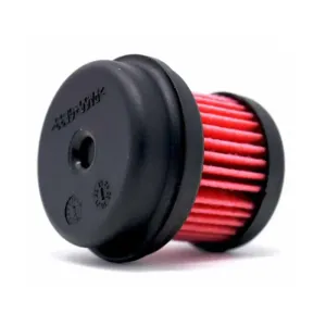 Raybestos Pump Cartridge Filter R105013D