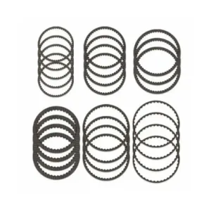 Raybestos Friction Module R168119A