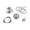 Sonnax Servo Piston and Cover Kit S114907CHPK