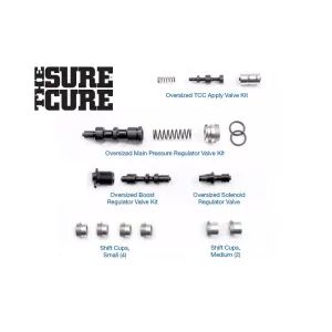 Sonnax Sure Cure Kit S75174A
