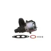 Standard Motor Products Exhaust Gas Recirculation (EGR) Valve SMP-EGV290