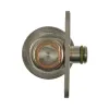 Standard Motor Products Fuel Injection Pressure Damper SMP-FPD15