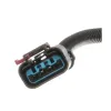 Standard Motor Products Diesel Glow Plug Wiring Harness SMP-GPH105