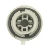 Standard Motor Products Back Up Light Socket SMP-S-1724