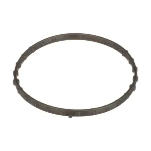 Standard Motor Products Fuel Injection Throttle Body Mounting Gasket SMP-TBG141