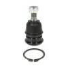 Delphi Suspension Ball Joint TC1792