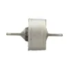 Delphi Suspension Trailing Arm Bushing TD4496W