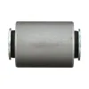 Delphi Radius Arm Bushing TD5568W