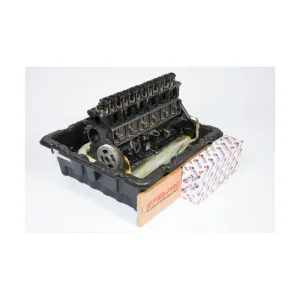 Advanced Powertrain Solutions Engine, Long Block TS-L30087LPT