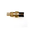 Delphi Engine Coolant Temperature Sensor TS10051