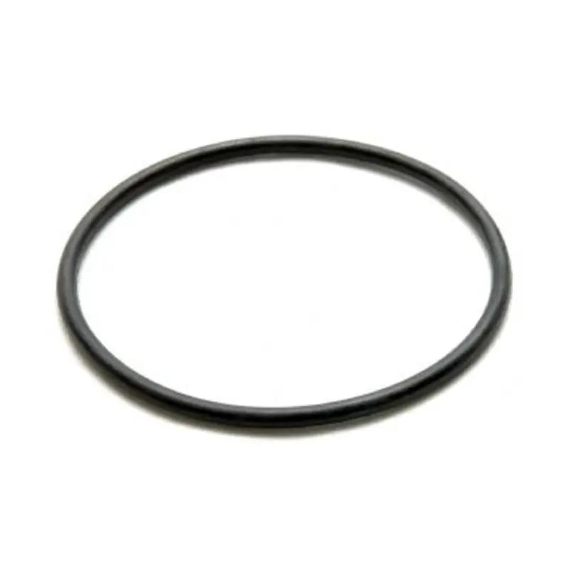 Transtec Lip Seal TS3475L