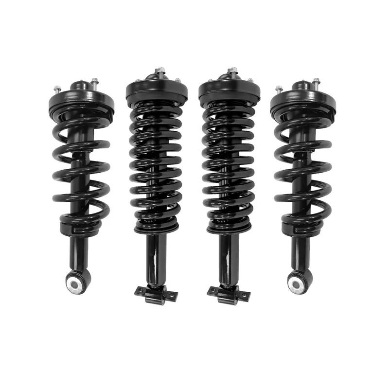 Unity Automotive Suspension Strut and Coil Spring Kit UNI-4-13530-16030-001