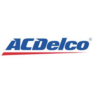 AC Delco Pump Assembly D309500